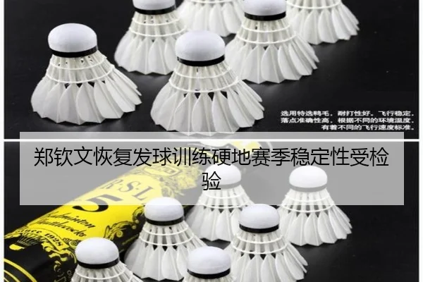 郑钦文恢复发球训练硬地赛季稳定性受检验